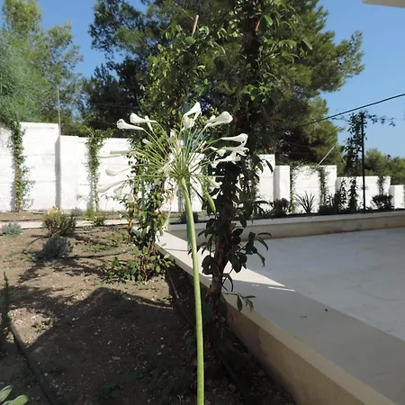 Luna D'argento Bed & Breakfast