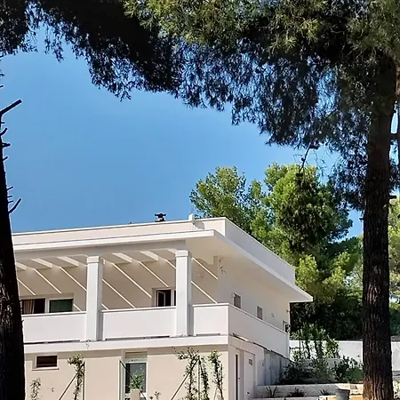 Nocleg ze śniadaniem Luna D'argento 4*