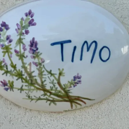 Luna D'argento 住宿加早餐酒店